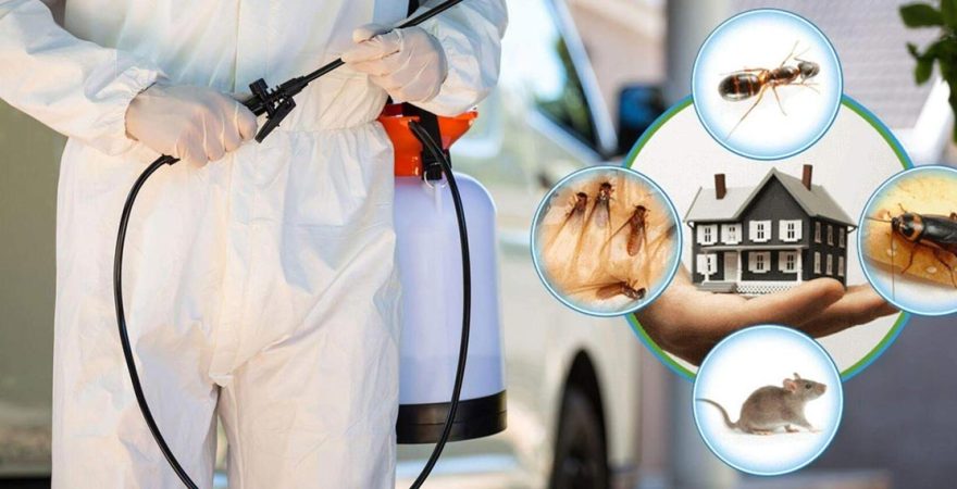 Kozluk Böcek İlaçlama