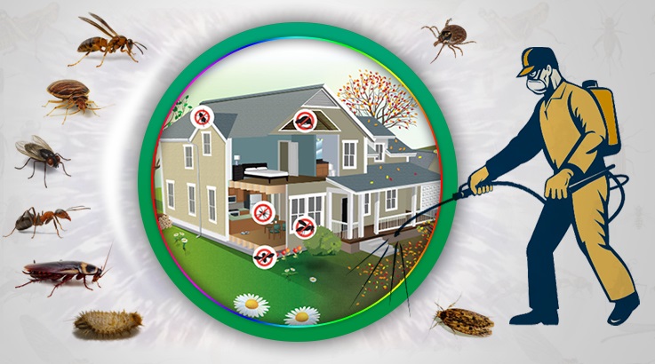 Kozluk Böcek İlaçlama