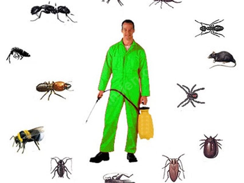 Kozluk Böcek İlaçlama